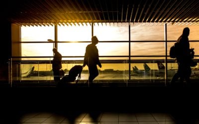 Travel Agency Survey Results: From Survival to Revival